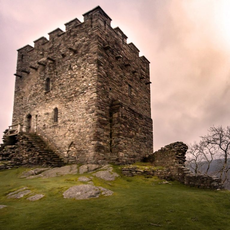 default avatar 2020 48 2 768x768